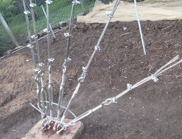 Bảo dưỡng các cột anten tại 11 quận huyện - CATPHCM năm 2019