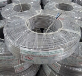 Dây điện thoại inside trắng 1 đôi - SAICOM