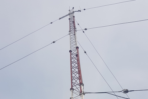 Gia cố trụ anten dây co 42m – Vinataxi