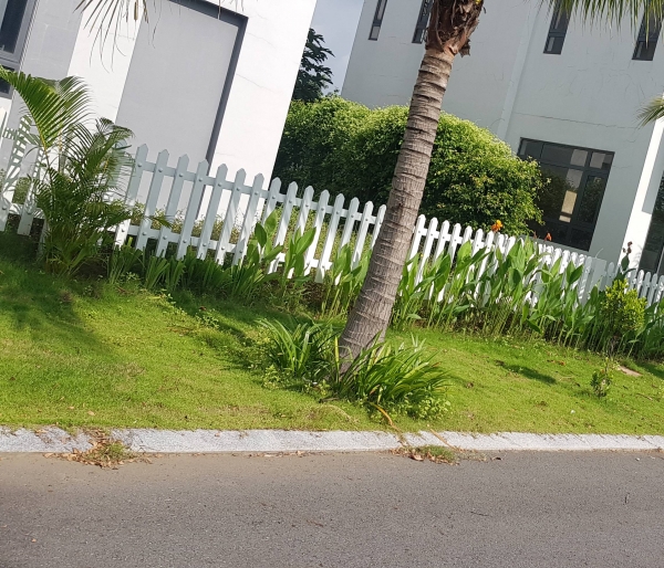 Mở rộng tuyến cáp quang phục vụ KDC Bella Trần Anh Đức Hòa và Chợ Tân Trụ - Viễn thông Long An - năm 2020