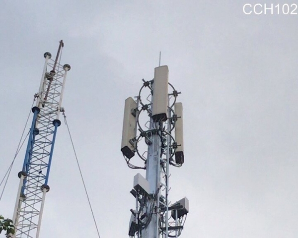 Thay thế anten dây co trạm CCH102M